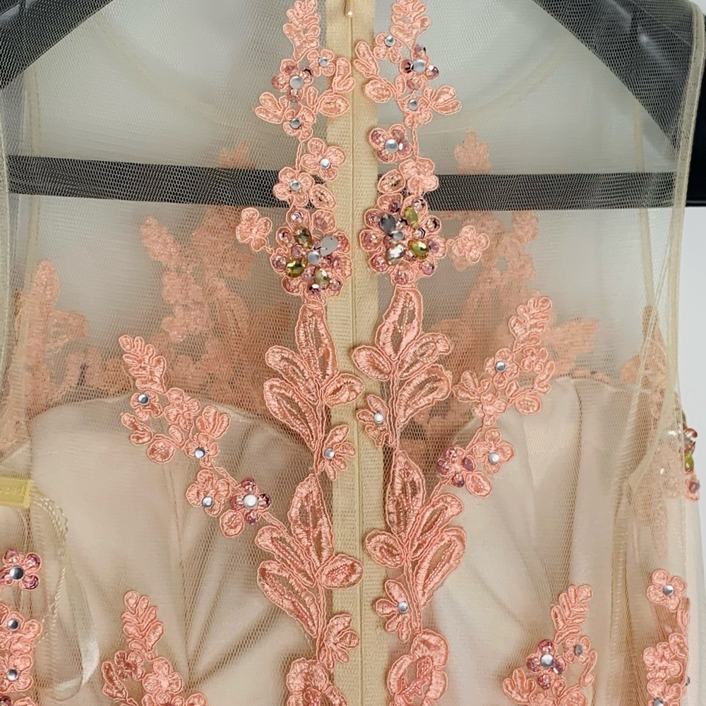 A speed Design  Salmon Pink Mesh Neckline Sleeveless Mermaid Gown - Picture 3 of 9